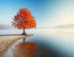 图‌像﻿识​别﻿技﻿术‌百﻿度﻿百​科‍